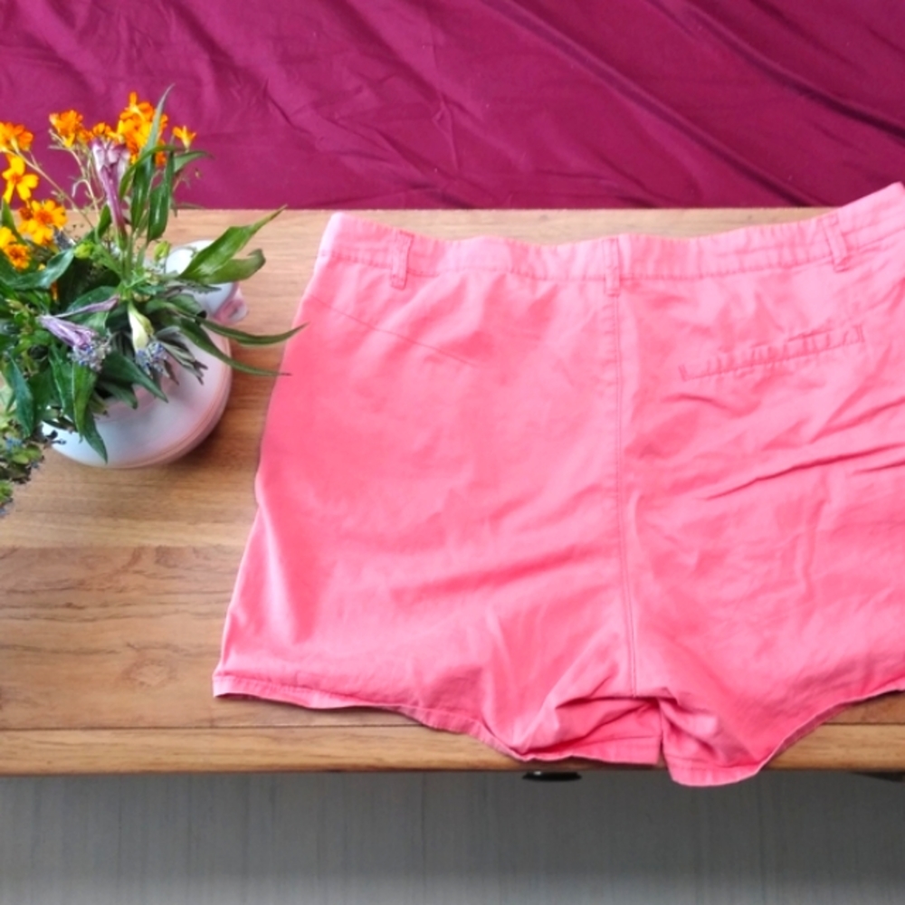 Salmon Pink Shorts